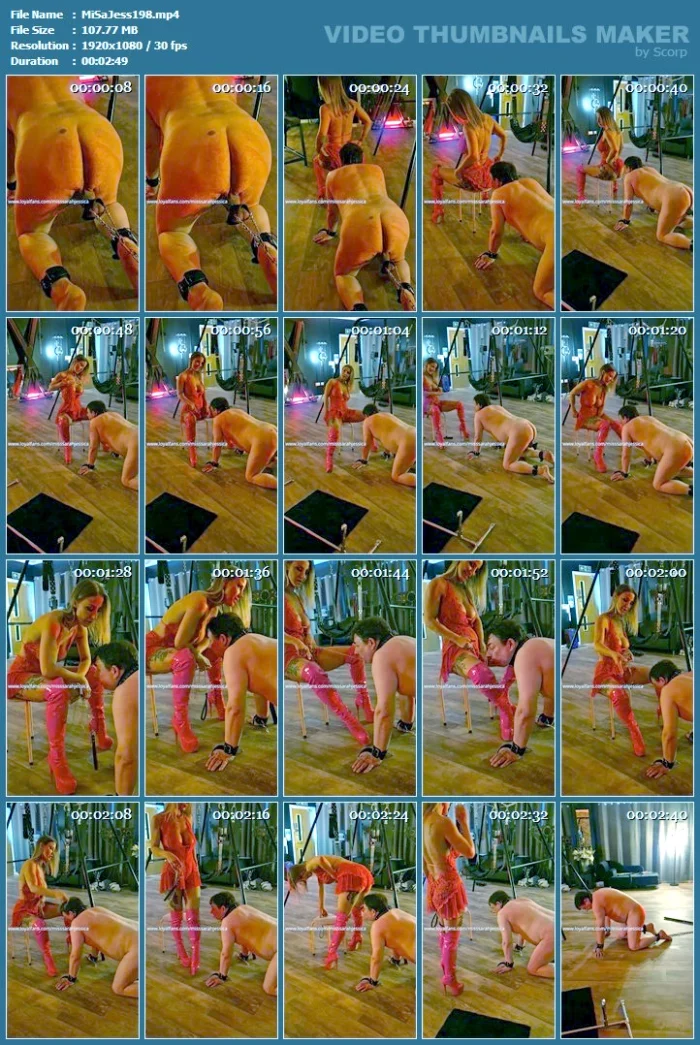 What A Predicament. Round 2! - MISS SARAH JESSICA - MP4