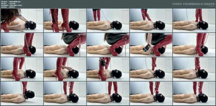 Soles Cleaner Slave For My Divine High Heels - MISTRESS KARINO - MP4