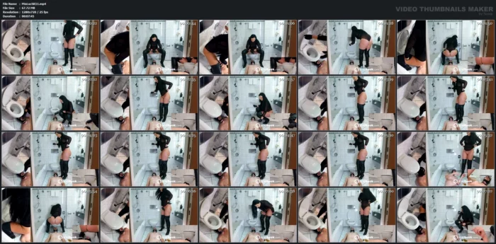 Stupid Loser Toilet In The Hotel - MISTRESS LUCIANA SCAT - MP4
