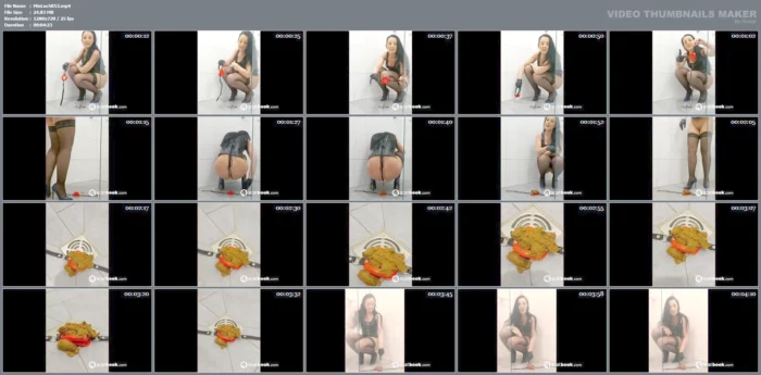 Shit All Over The Rubber Toilet Hole In The Shower - MISTRESS LUCIANA SCAT - MP4
