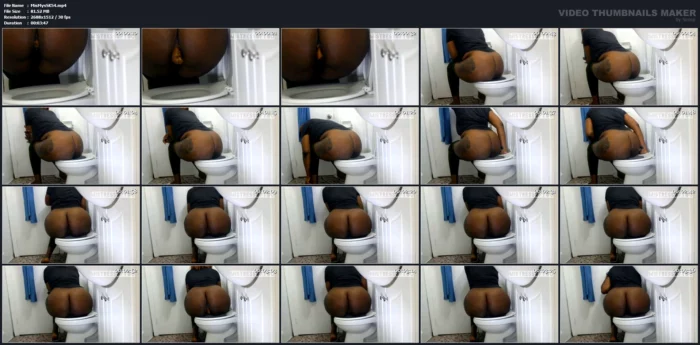 No Toilet Can Handle My Fat Ass - MISTRESS MYSTIQUE SCAT - MP4