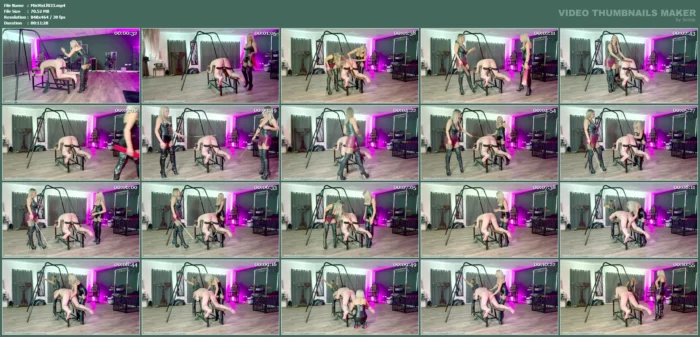 A Nice Paddling From Myself And Lda - MISTRESS VIXEN / WOMANIA EMPIRE - MP4