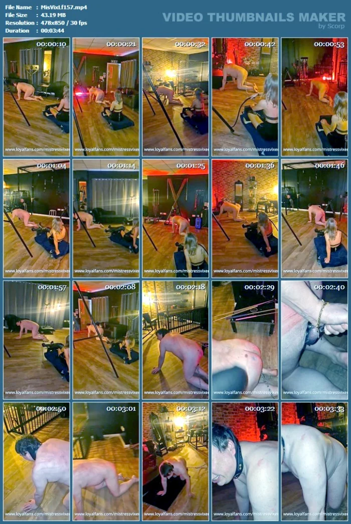 Leashed By The Balls, Pull My Chariot - MISTRESS VIXEN / WOMANIA EMPIRE - MP4