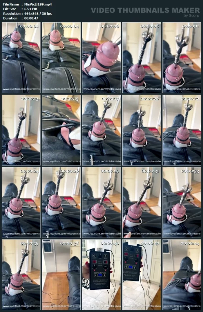 No Need To Touch It To Make It Suffer - MISTRESS VIXEN / WOMANIA EMPIRE - MP4