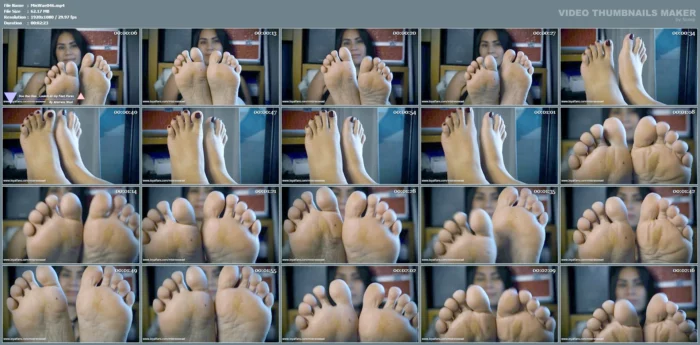 Doo Doo Doo, Lookin At My Feet Pores - MISTRESS WAEL - MP4