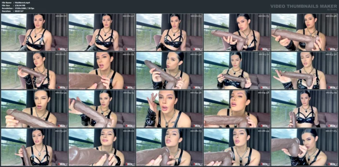 Gay Reprogram - MISTRESS NEREZZA / ROYAL NEREZZA - MP4