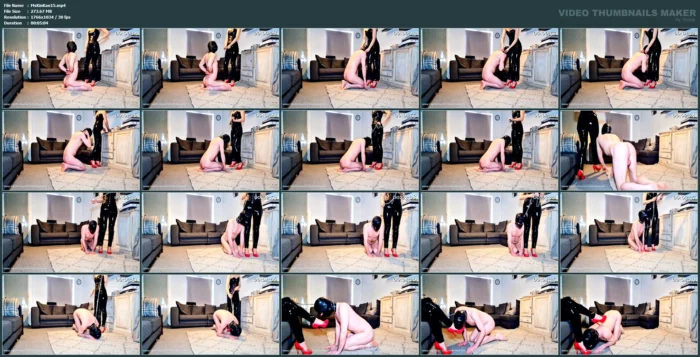 Heel! - MS KINKY KANE / HOUSE DUCROIX - MP4