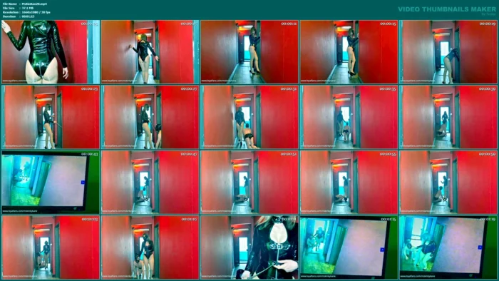 Leashed At Heel - MS KINKY KANE / HOUSE DUCROIX - MP4