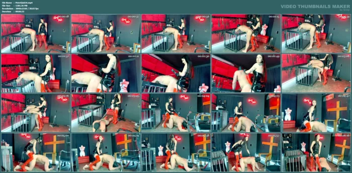 Femdom Pegging - MISTRESS GLAMOROUS - MP4