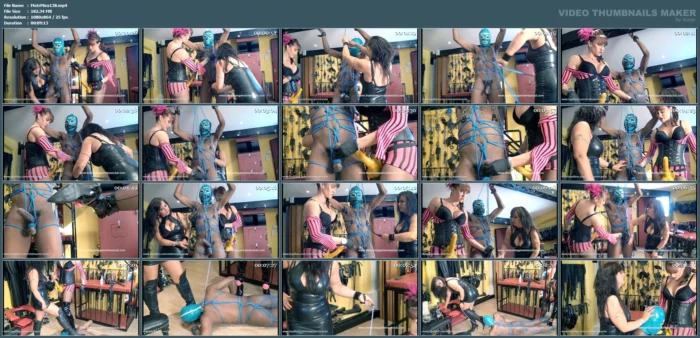 Bitch Wank Trampled Torment - MISTRESS MIRANDA / THE BONDAGE MISTRESS CLUB / BDSMLABORATORY - MP4