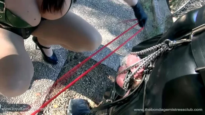 Tree Exhibit Finale - MISTRESS MIRANDA / THE BONDAGE MISTRESS CLUB / BDSMLABORATORY - MP4