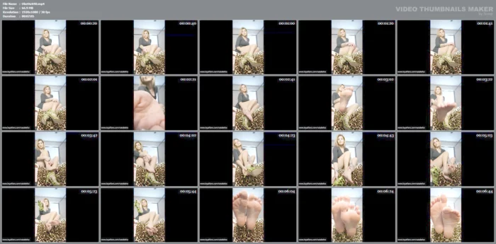 Caged Like My Heels - OBEY DIZZY - MP4