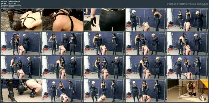 Bad Dog! Puppy Play In Brussels - OFFICIAL VINYL QUEEN - MP4