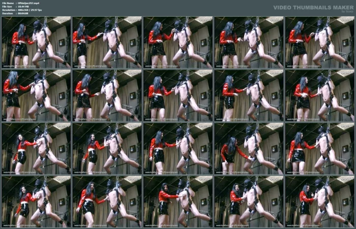 Nipple Torment With Clamps And Electrical - OFFICIAL VINYL QUEEN - MP4