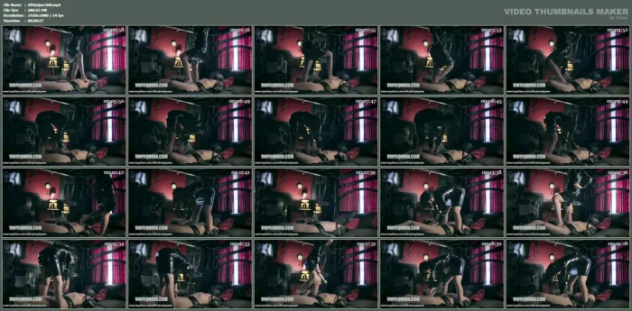 Session Video, Conclusion - OFFICIAL VINYL QUEEN - MP4