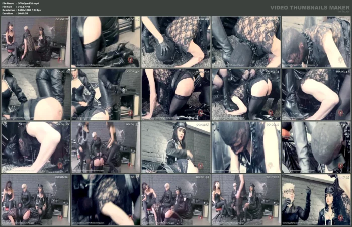 The Clumsy Maid - OFFICIAL VINYL QUEEN - MP4