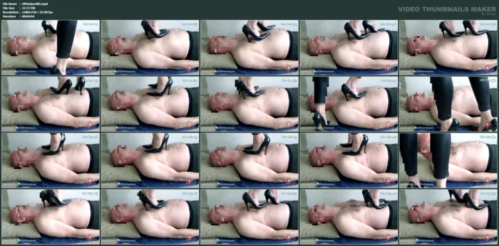 Trampling In Amsterdam - OFFICIAL VINYL QUEEN - MP4