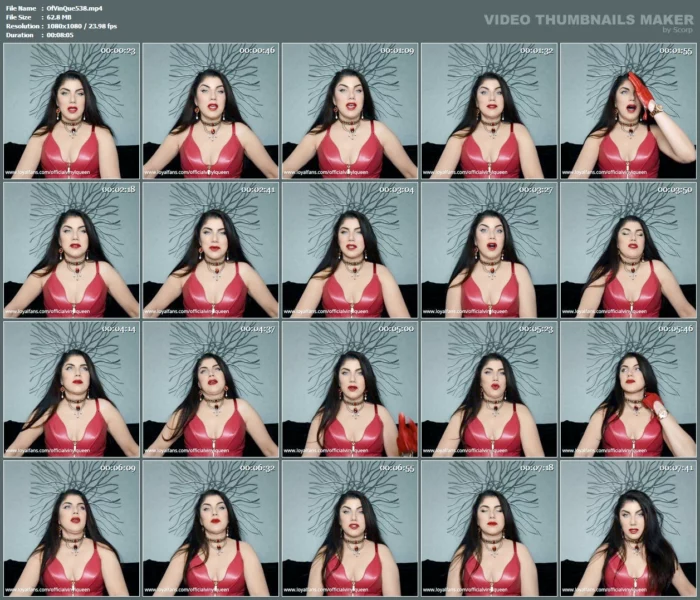 What's A Poor Boy To Do - OFFICIAL VINYL QUEEN - MP4