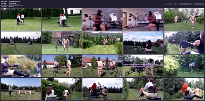 Best Of Ponyboys II - OWK / OTHER WORLD KINGDOM - MP4