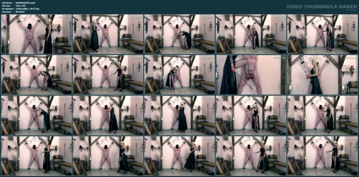CBT From Domina Patricia - OWK / OTHER WORLD KINGDOM - MP4