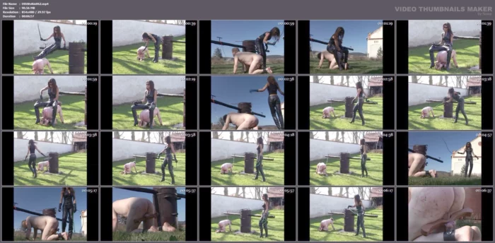 Domina Dante Posh - Whipping - OWK / OTHER WORLD KINGDOM - MP4