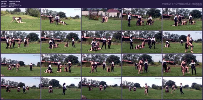 Ponyboys Training - Domina Tatjana Cruela, Lady Alexa, Lady Isis - OWK / OTHER WORLD KINGDOM - MP4
