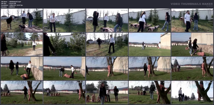 Whipping By Domina Dante Posh, Mistress Roberta & Mistress Sable - OWK / OTHER WORLD KINGDOM - MP4