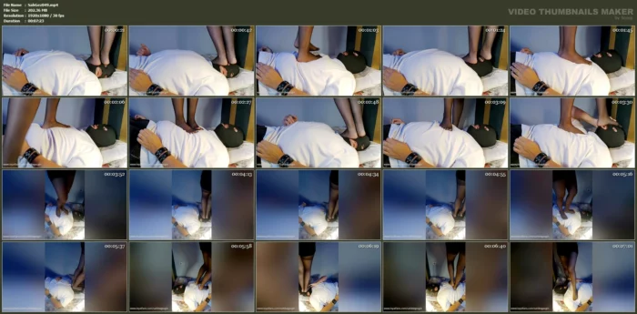 Facetrample - Trample - SAHIBE GEZGIN - MP4