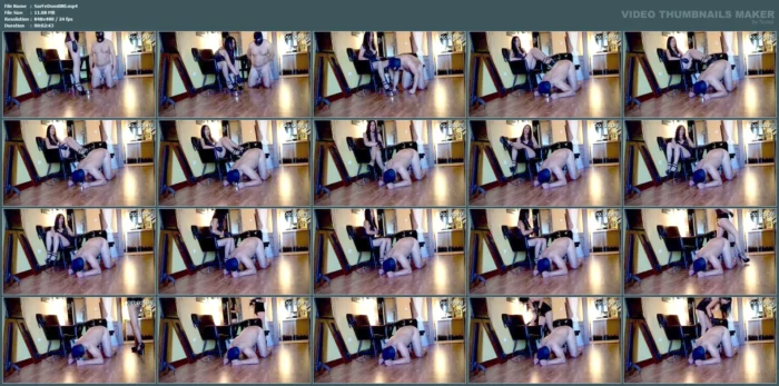 Dog And Point - SARAFEMDOMINA / DOMINA SARA - MP4