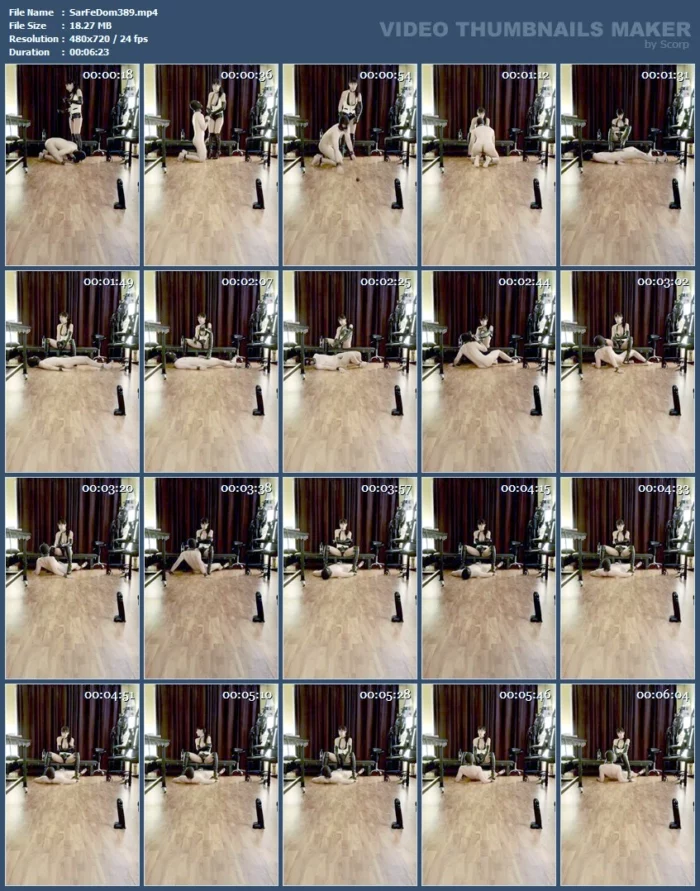 The Pimp (Dog) And Its Training - SARAFEMDOMINA / DOMINA SARA - MP4