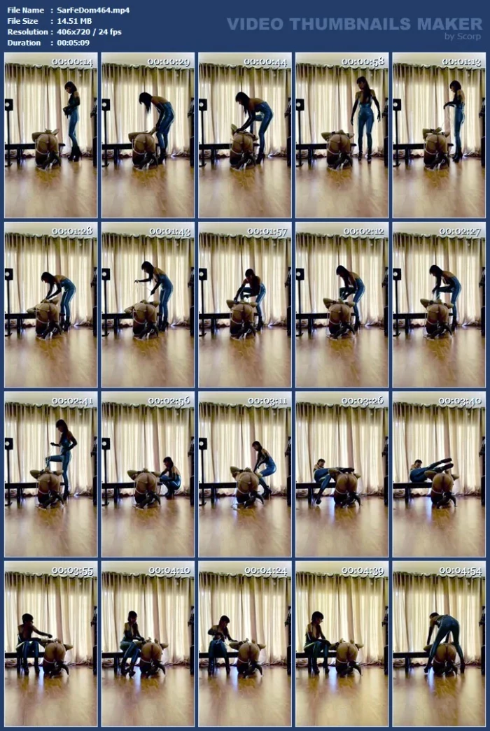 You're Made To Be On All Fours Of The Day Seven Days A Week - SARAFEMDOMINA / DOMINA SARA - MP4