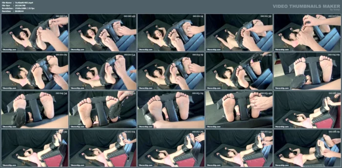 The Weak Link - Honey, Lexi Lee - TAWORSHIP - TICKLING - MP4
