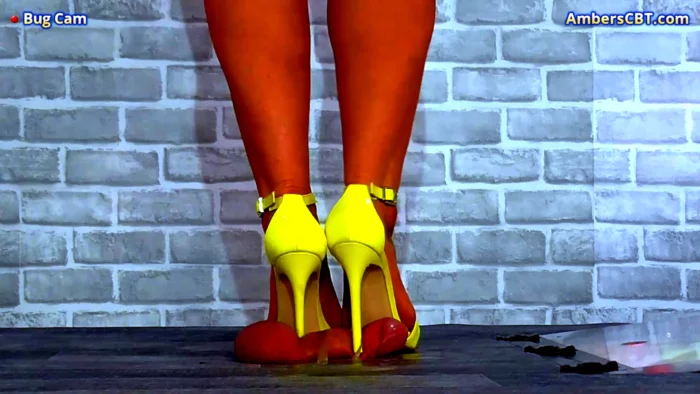 Crushing His Cock & Balls Under My Yellow Strappy Heels & Plexiglass - UNDER AMBER - MP4