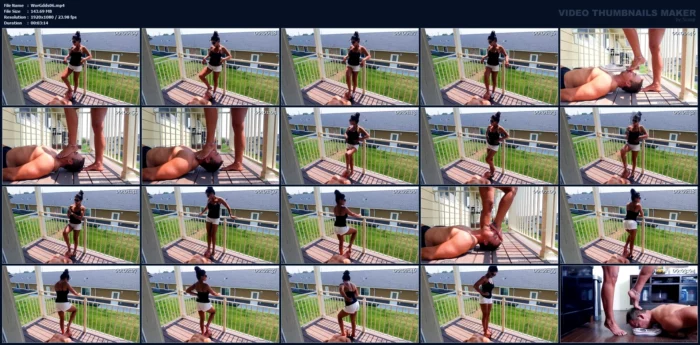 Can't Believe How Bad You Betas Will Let A Hot Woman Humiliate You - ZEPHIANNA / GODDESS ZEPHY / WORLD GODDESS - MP4