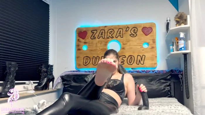 Jerk Off Instructions For Assholes - ZARA BIZARR - MP4