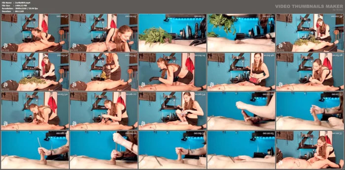 Nettle And Dilator Fun - ZARA BIZARR - MP4
