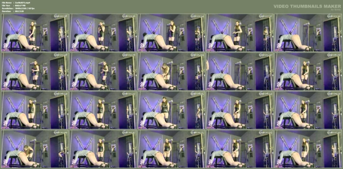 Private Session - Flogged On The Punishment Box - ZARA BIZARR - MP4
