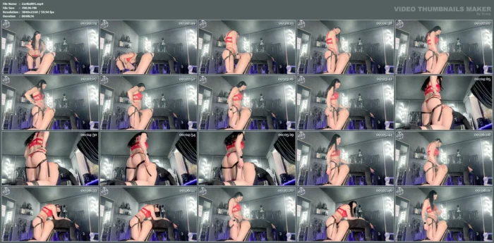 Xxl Strapon Pegging In Red Lingerie - ZARA BIZARR - MP4