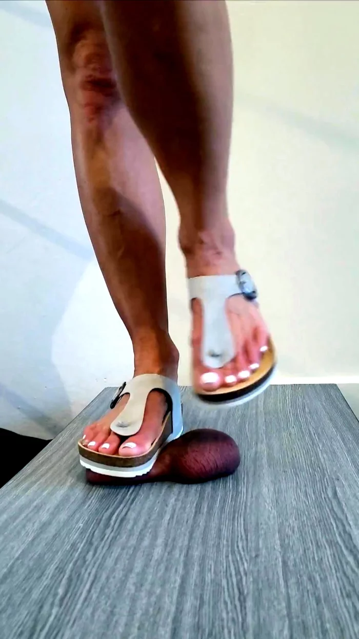 Barbie Cock And Ball Trample In Slippers No.61 - BARBIEVONBERLIN - MP4