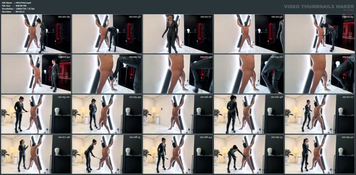 Ballbusting On The St Andrews Cross - MISTRESS BLACKDIAMOOND - MP4