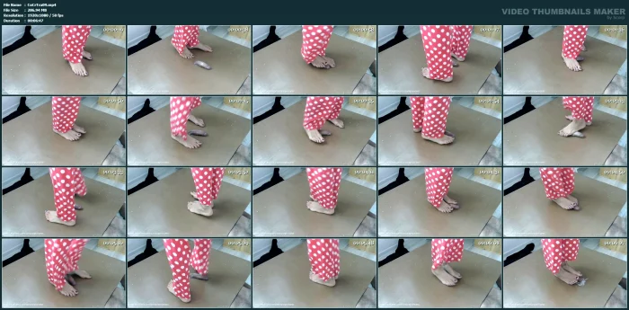 Cockcrush Dancing In The Morning - COCKCRUSH TRAMPLE TORTUREPRINCESS - MP4