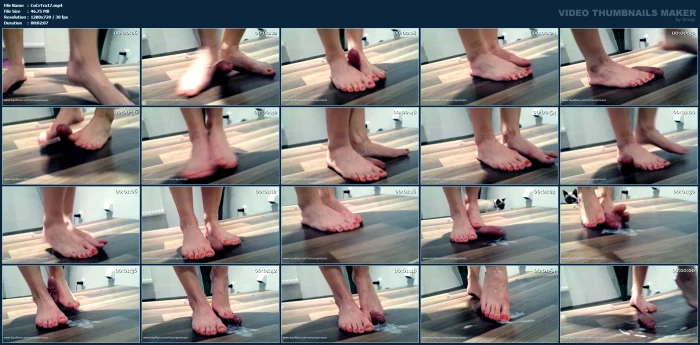 Dancing Memories - COCKCRUSH TRAMPLE TORTUREPRINCESS - MP4