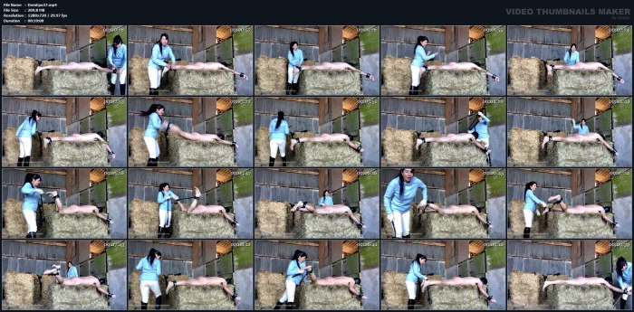 Pushed Over The Hay Bale - GODDESS EPONA - EQUESTRIAN FINDOM - MP4