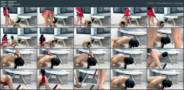 Big Black Cock - This Time It's Only Your Training Beta Boi - DOMINA KIM - MP4