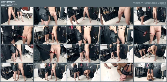 Penis Smacking - DOMINA KIM - MP4