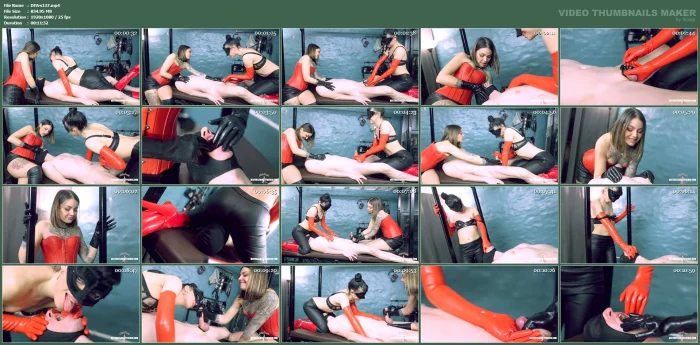 Sensual Sadist Nikky French - Cum Eating Slut - FEMDOM 2025 - MP4