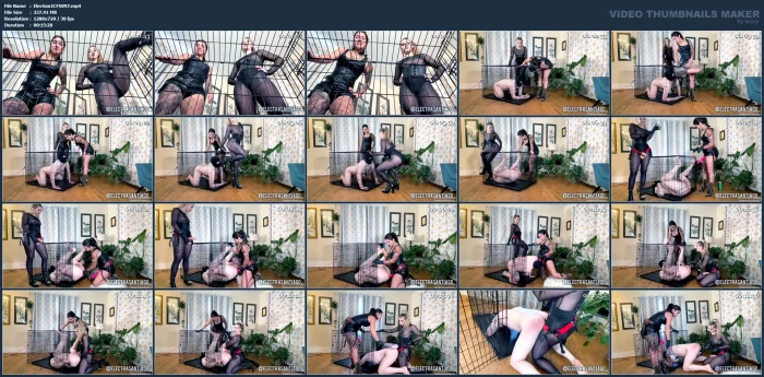 Slave Bitch Caged Pegged By Two Dommes - ELECTRA SANTIAGO - MP4