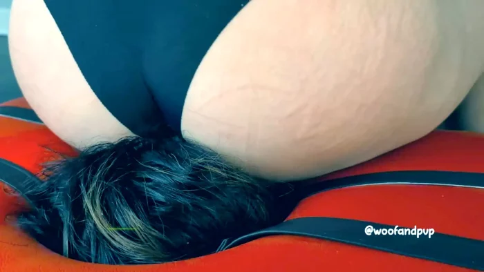 Breaking In The Smother Box - WOOF AND PUP - MP4