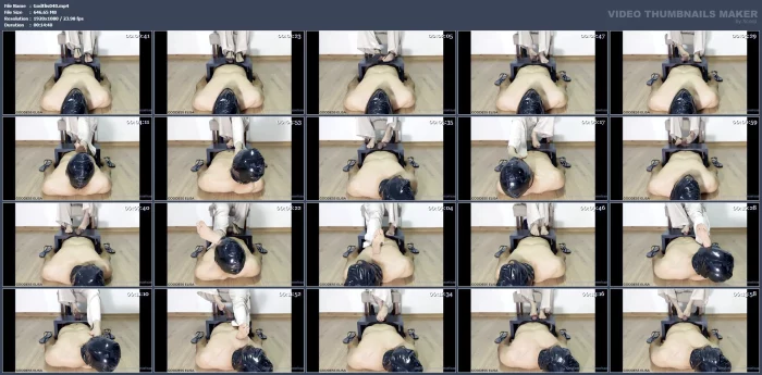 Everyone Knows What I Think About Slaves And What I Like To Do With Them - GODDESS ELISA - MP4