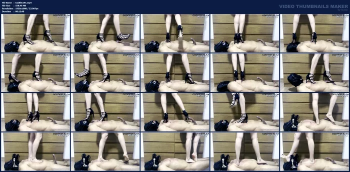 Yes, When You Accept To Be My Slave, You Give Up Absolutely Everything In Your Life - GODDESS ELISA - MP4